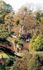 The Tree house at Pitchford